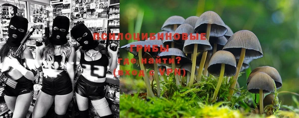 винт Балахна