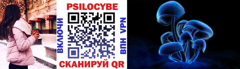 гидра онион  Озёры  Галлюциногенные грибы Psilocybe 